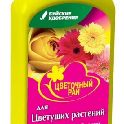 Химия
