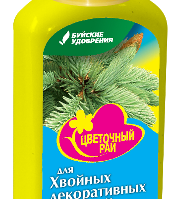 Химия