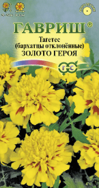 Бархатцы отклоненные (Тагетес отклонённый) Золото героя (Гавриш) 0,1гр