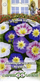 Вьюнок трехцветный Мамба смесь (Гавриш)/0,5гр