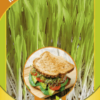 Микрозелень Кукуруза микс (Гавриш)/10г