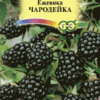 Ежевика Чародейка (Гавриш) 10шт