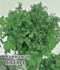 Кориандр овощной Янтарь (Гавриш) 1г