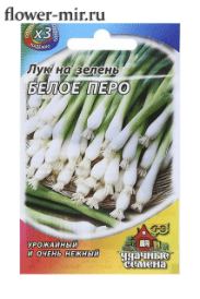 Лук на зелень Белое перо (Гавриш) 0,5гр