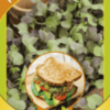 Микрозелень Подсолнечник микс 10г bio greens Гавриш