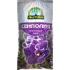 Сенполия Антей 2,5л