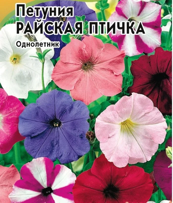 Петуния Райская птичка Уд 0,1г цп