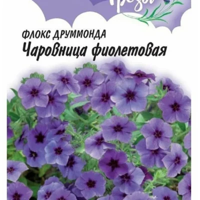 Флокс (друммонда) Чаровница фиолетовая (Гавриш) 0,05 гцп