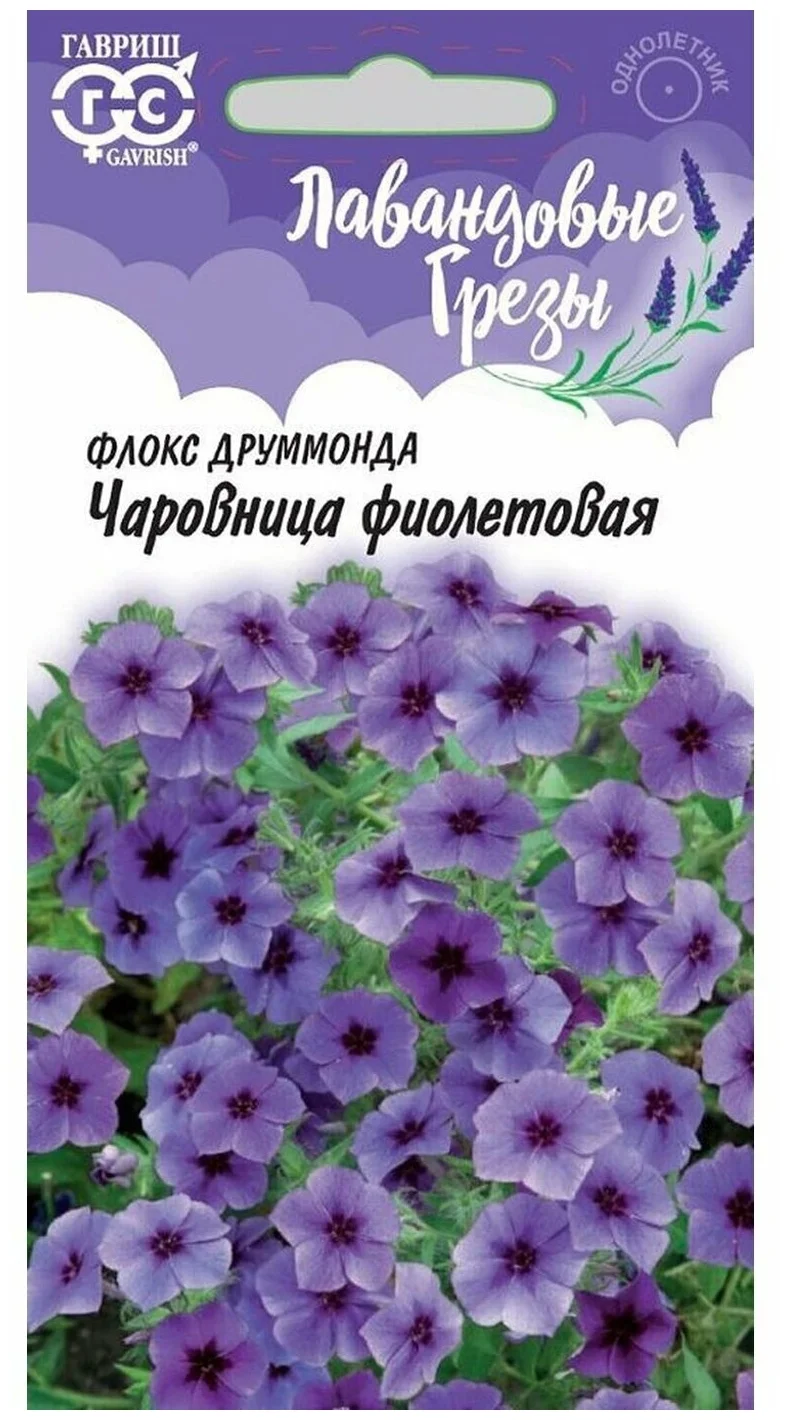 Флокс (друммонда) Чаровница фиолетовая (Гавриш) 0,05 гцп
