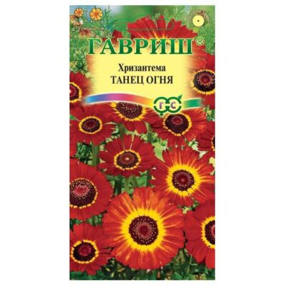 Хризантема Танец огня (Гавриш) 0,5г цвп