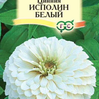 Цинния Великан белый (Гавриш) 0,3г цвп