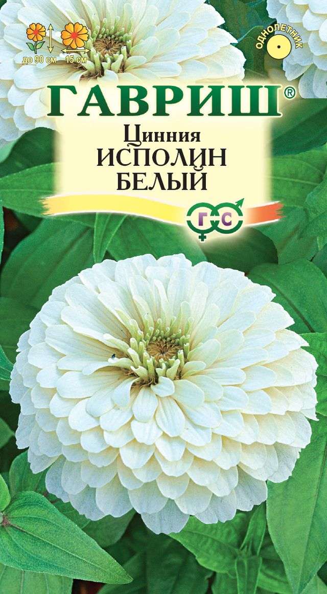 Цинния Великан белый (Гавриш) 0,3г цвп