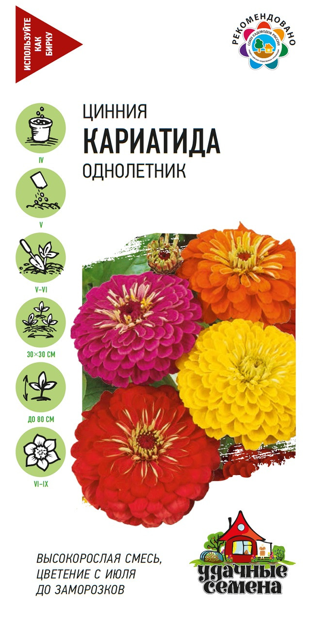 Цинния Кариатида Уд 0,3г цвп