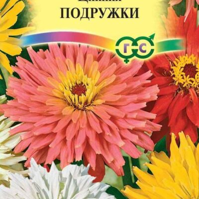 Цинния кактусовидная низкорослая Подружки (Гавриш) 0,2гцп