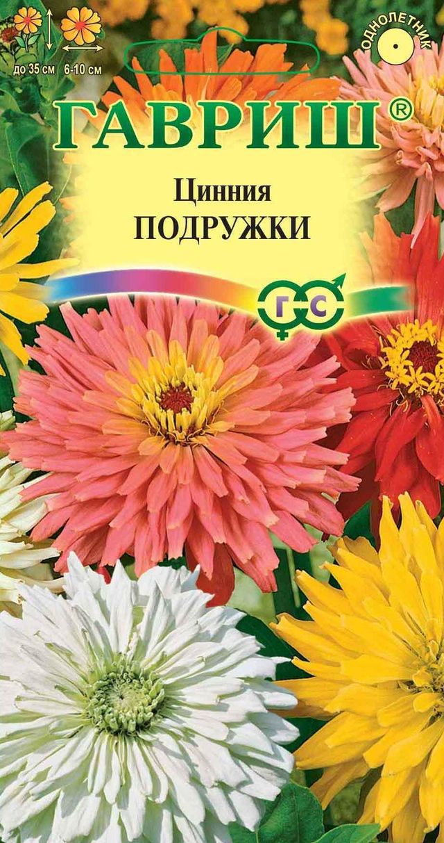 Цинния кактусовидная низкорослая Подружки (Гавриш) 0,2гцп