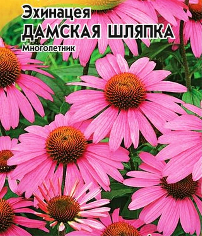 Эхинацея Дамская шляпка 0,05г