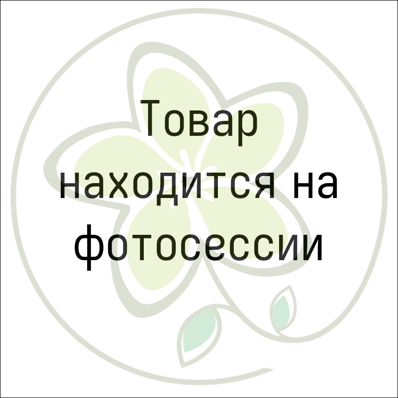 Заполнитель